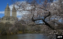 Gedung apartemen San Remo, di dekat Danau di Central Park, Kota New York, 10 April 2019. (TIMOTI A. CLARY / AFP)