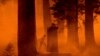 Huge California wildfire chews through timber in very hot and dry weather
