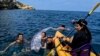 FILE - The Scripps Institution of Oceanography photo shows researchers and science-minded snorkelers working together to recover a dead oarfish from La Jolla Cove, Calif., Aug. 10, 2024. 