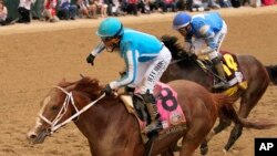 Javier Castellano, left, celebrates after riding Mage to win the 149th running of the Kentucky Derby horse race at Churchill Downs in Louisville, Kentucky, May 6, 2023.
