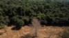 FILE - A view of land in Mato Grosso state, Brazil, July 28, 2021. Brazil's President Luiz Inacio Lula da Silva has made reining in deforestation a priority, seeking to reverse the policies of his predecessor, Jair Bolsonaro. 