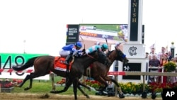 National Treasure, right, with jockey John Velazquez, edges out Blazing Sevens, with jockey Irad Ortiz Jr., to win the 148th running of the Preakness Stakes horse race at Pimlico Race Course, May 20, 2023, in Baltimore, Maryland.