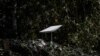 FILE - An antenna of the Starlink satellite-based broadband system donated by the U.S. tech billionaire Elon Musk is seen in Izyum, Kharkiv region, Sept. 25, 2022, amid Russia's invasion of Ukraine.