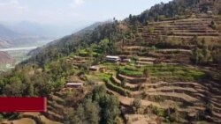 ཡུག་ཀེ་རེན་གྱིས་བཟུང་བའི་བལ་བོའི་གླས་དམག་གློད་གྲོལ་གྱི་ཞུ་སྐུལ། 