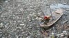 Seorang petugas kebersihan berusaha membersihkan sampah plastik yang mengotori saluran air di Kanal Buckhingham di Chennai, India, pada 16 November 2023. (Foto: AFP/R. Satish Babu)
