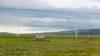 Cattle graze near wind turbines at a wind farm along the Montana-Wyoming state line on Monday, June 13, 2022. 