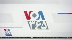 خبر ۸