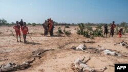 FILE - Watu wakiwa karibu na mizoga ya kondoo zilizokufa kutokana na ukame katika kijiji cha Hargududo, kilomita 80 kilometers kutoka mji wa Gode, Ethiopia, April 07, 2022. 