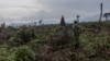 Penjaga lingkungan berpatroli di kawasan hutan yang gundul di kaki Gunung Berapi Nyiragongo di Taman Nasional Virunga, Republik Demokratik Kongo (foto: dok). 