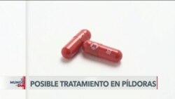El Mundo al Día