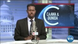 Caawa iyo Dunida