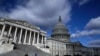 У США є кілька організацій української діаспори, які працюють з законодавцями, але заснування цього комітету закриває важливу прогалину, говорять їхні представники. 