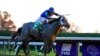Essential Quality Is 2-1 Favorite for Kentucky Derby 