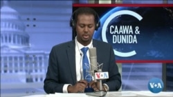 Caawa iyo Dunida