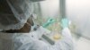 FILE - In this May 2020 photo provided by Eli Lilly, a researcher tests possible COVID-19 antibodies in a laboratory in Indianapolis. (David Morrison/Eli Lilly via AP, File)