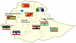 መኢአድ፡ ንስጉምትታት መንግስቲ ኢትዮጵያ አብ ጉዳይ ሰልፊ ተቃውሞ ኦሮሞ ተማሃሮ ይነቅፍ
