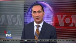 اخبار شامگاهی