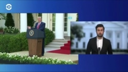 Бизнес-советник Трампа: «Доктор Фаучи ошибался почти во всем»