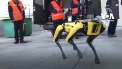 У Чорнобилі випробували робота Boston Dynamics. Відео