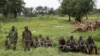 Les exactions des ADF ont commencé dans la province du Nord-Kivu et se sont étendues depuis plusieurs années dans la province voisine de l'Ituri.