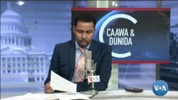 Caawa iyo Dunida