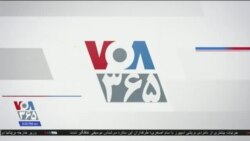 خبر ۸