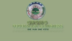 ኣብ ማእሰርቲ ዝርከቡ መራሕቲ ኤፌኮ ናይ መግቢ ምሕሳም ኣድማ ደው ከምዘበሉ ተገሊጹ