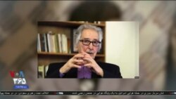 اخبار شامگاهی