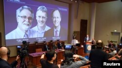 Thomas Perlmann, Secretary-General of the Nobel Committee, presents the Nobel laureates, William G. Kaelin Jr, Sir Peter J. Ratcliffe and Gregg L. Semenza, of this year's Nobel Prize in Medicine during a news conference in Stockholm, Sweden, Oct. 7, 2019.