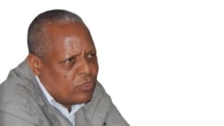 ዶ/ር መረራ ጉዲና ብህጹጽ ክፍትሑ ዝተፈላለዩ ወገናት ጸዊዖም
