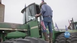 Як демократи боряться за «червоний» Техас. Відео