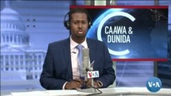 Caawa iyo Dunida