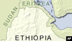 Ethiopian