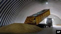 Українське збіжжя, архівне фото. AP Photo/Efrem Lukatsky