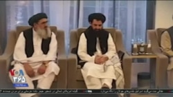 اخبار شامگاهی