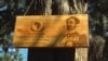 ከ62 ዓመታት በፊት በአፍሪካ አንድነት ድርጅት መስራች መሪዎች የተተከሉ ዛፎች