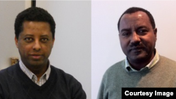ኣቶ ሚካኤል ጸጋይን ተ. ፕሮፌ. መሐሪ ረዳኢን