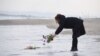 FILE - A woman puts flowers into the sea to pray for victims of the 2011 earthquake and tsunami in Sendai, northern Japan, March 11, 2016. 