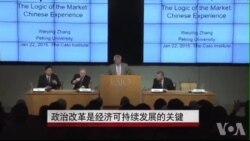 中国学者：政治改革是经济可持续发展的关键