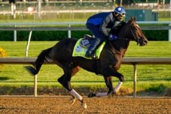 Kentucky Derby hopeful Rock Your World works out at Churchill Downs, in Louisville, Ky., April 27, 2021.