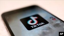 中国短视频应用程序抖音海外版TikTok。（资料照）