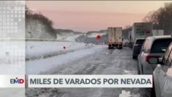 El Mundo al Día