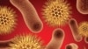 Antibiotics