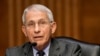 FILE - Dr. Anthony Fauci speaks during a Senate Health, Education, Labor and Pensions Committee hearing while he was director of the National Institute of Allergy and Infectious Diseases, May 11, 2021. (Greg Nash/Pool via AP)