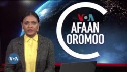 Tamsaasa Guyaadhaa Guyyaa
