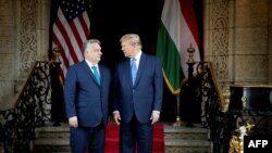 8 березня 2024 року прем'єр-міністр Угорщини Віктор Орбан зустрівся з колишнім президентом США Дональдом Трампом. Фото Служби прем'єр-міністра Угорщини через АFР 