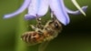 16x9 Image